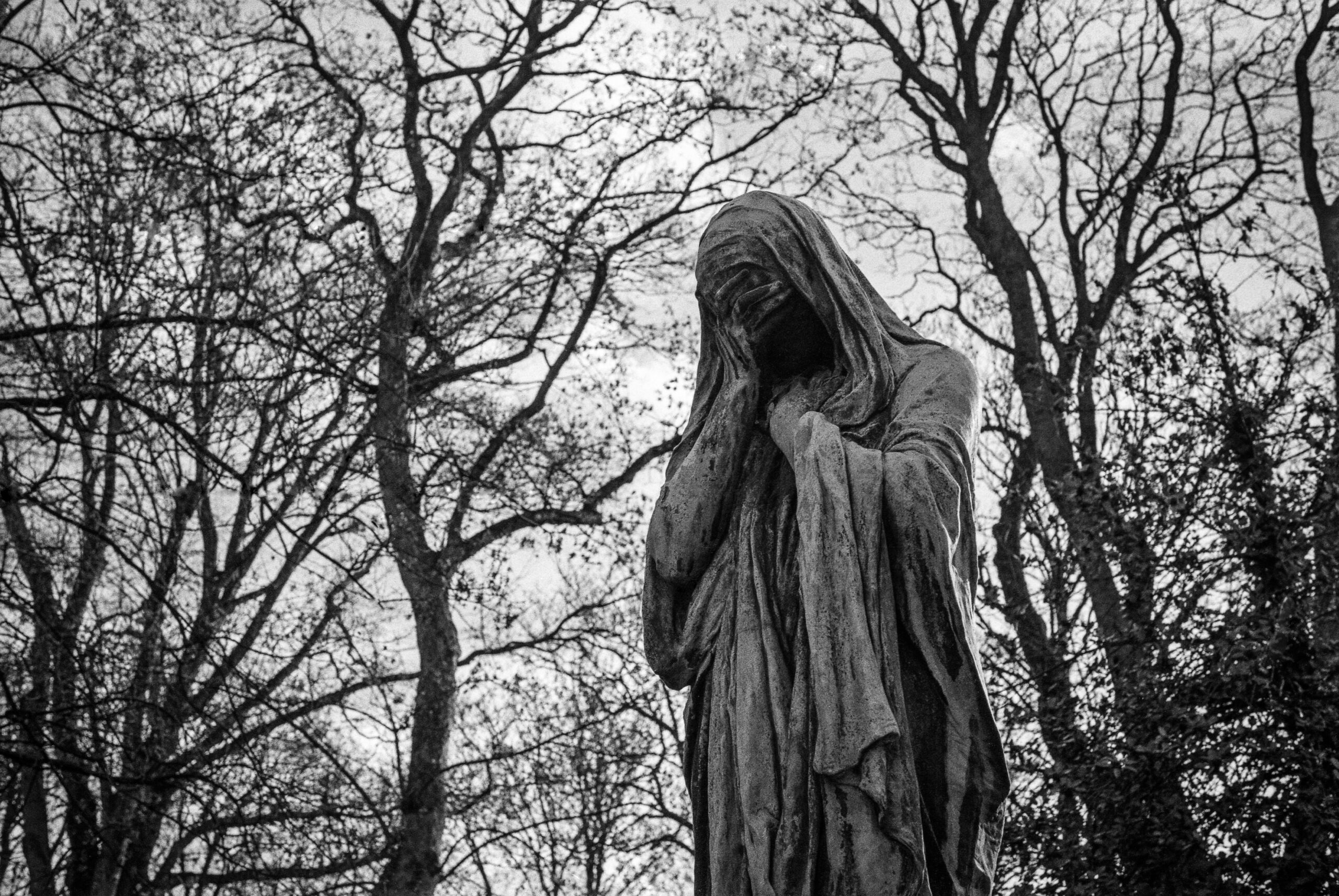The melancholic sage